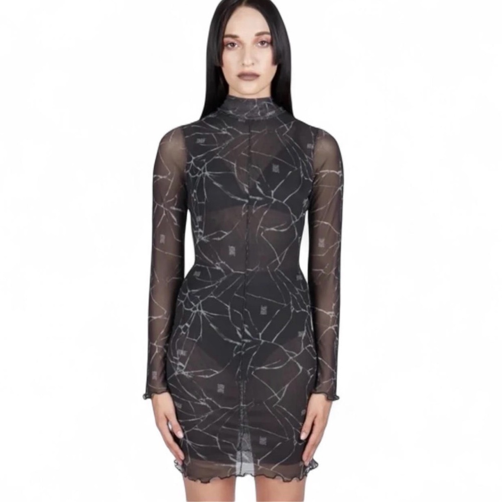 Mary Wyatt  Sheer Dress